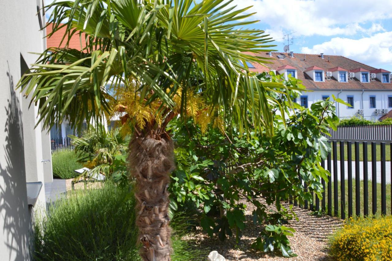 Palm Garden Apartment 1 Mikulov Dış mekan fotoğraf