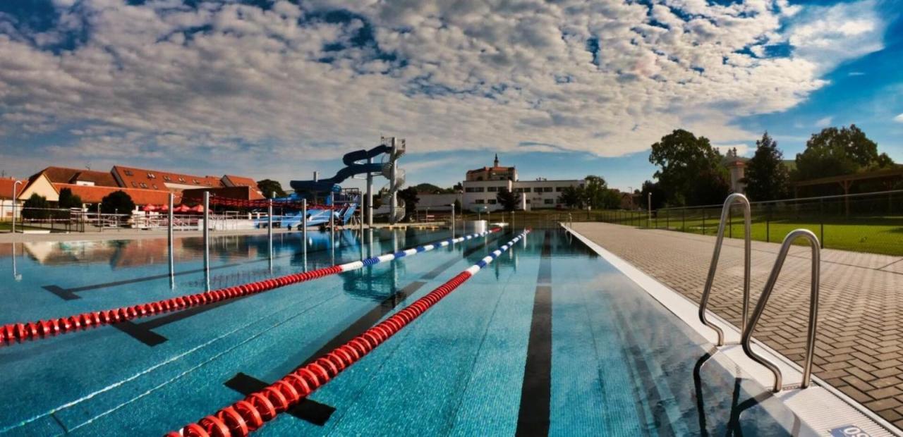 Palm Garden Apartment 1 Mikulov Dış mekan fotoğraf