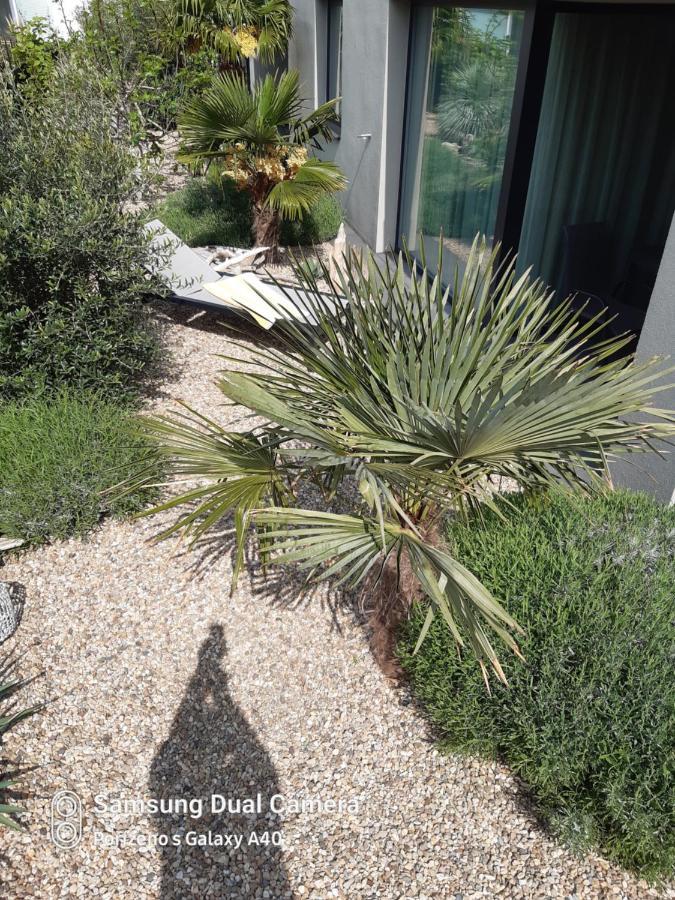 Palm Garden Apartment 1 Mikulov Dış mekan fotoğraf